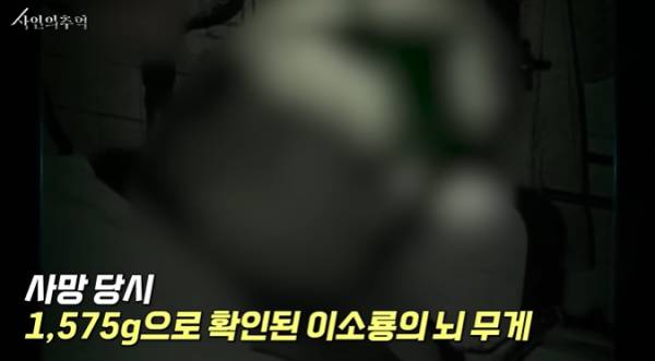 법의학자가 본 이소룡의 사망원인