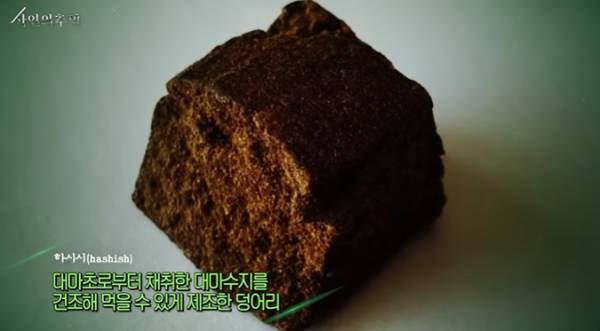 법의학자가 본 이소룡의 사망원인