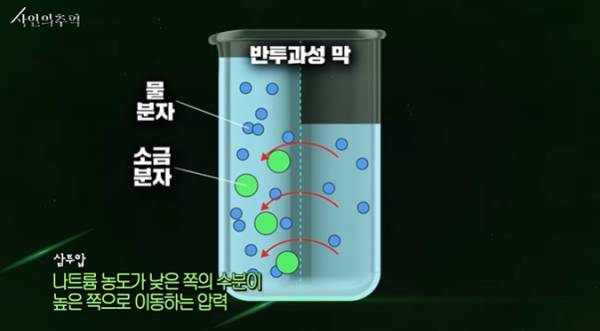 법의학자가 본 이소룡의 사망원인