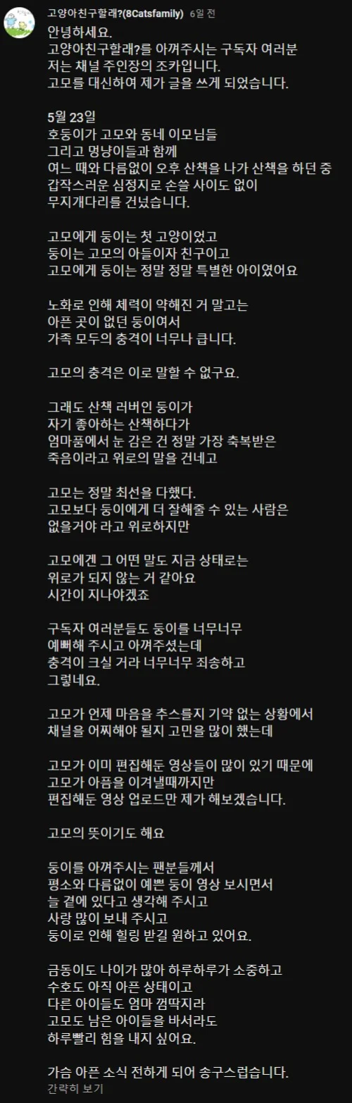 영하 17도 산책 고양이 근황
