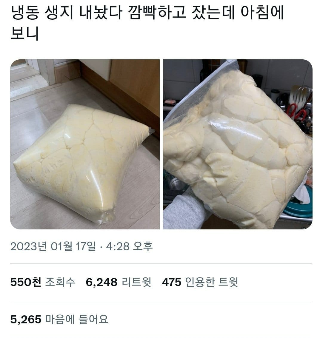 싱글벙글 효모 대환장 파티