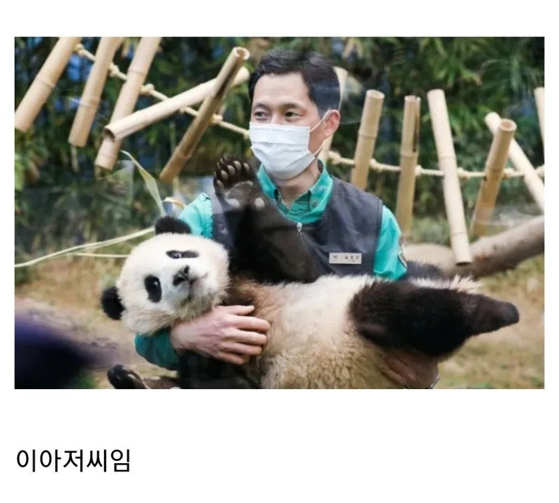 에버랜드에 오자마자 울고만 아이를 웃게 만든 직원