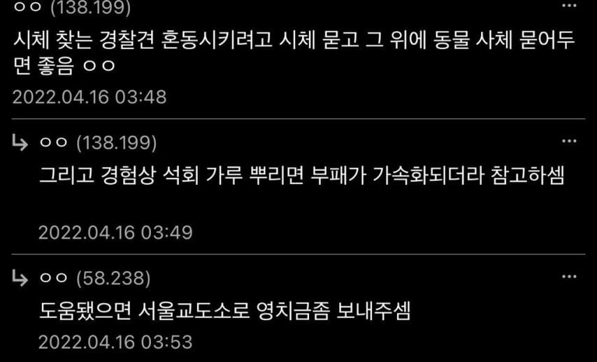 꿀팁