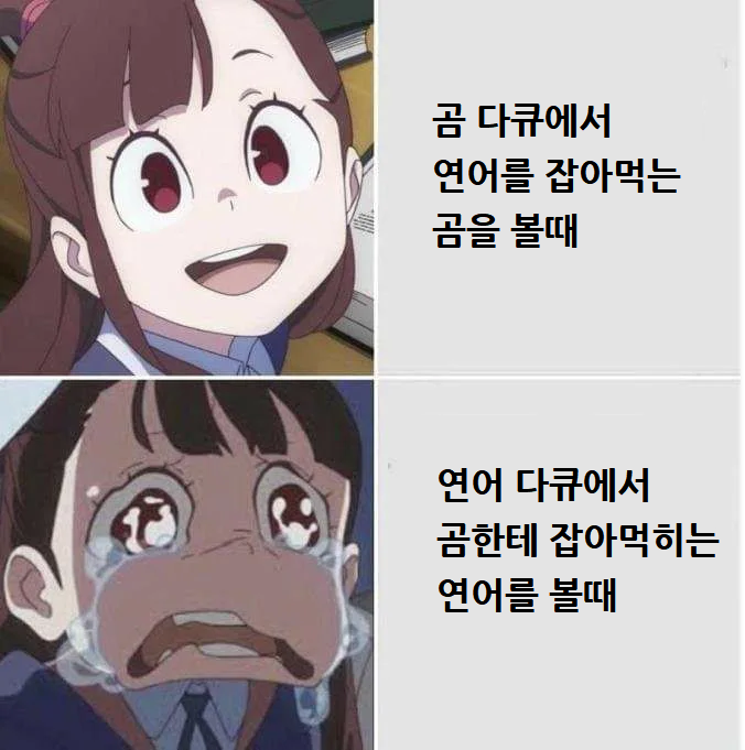 관점의 차이