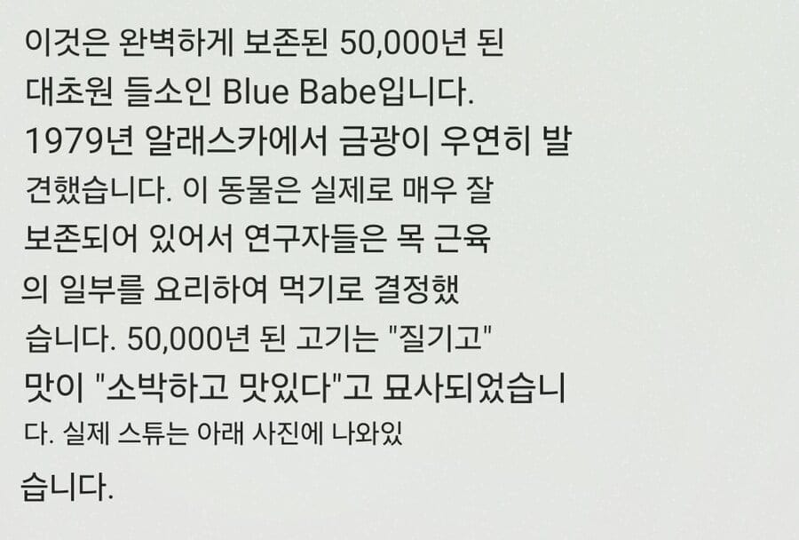 5만년 묵은 황소 시체를 발견한 연구자들이 실시한것.jpg