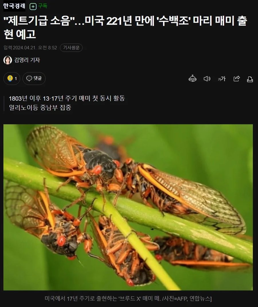 221년만에 덮친 매미겟돈 미국의 k-대응.jpg