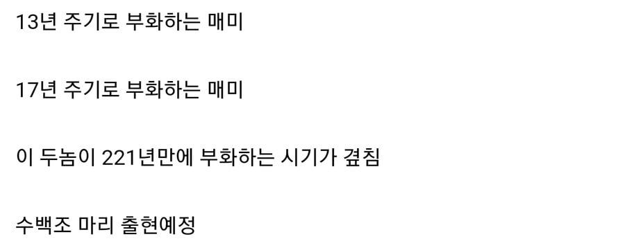 221년만에 덮친 매미겟돈 미국의 k-대응.jpg