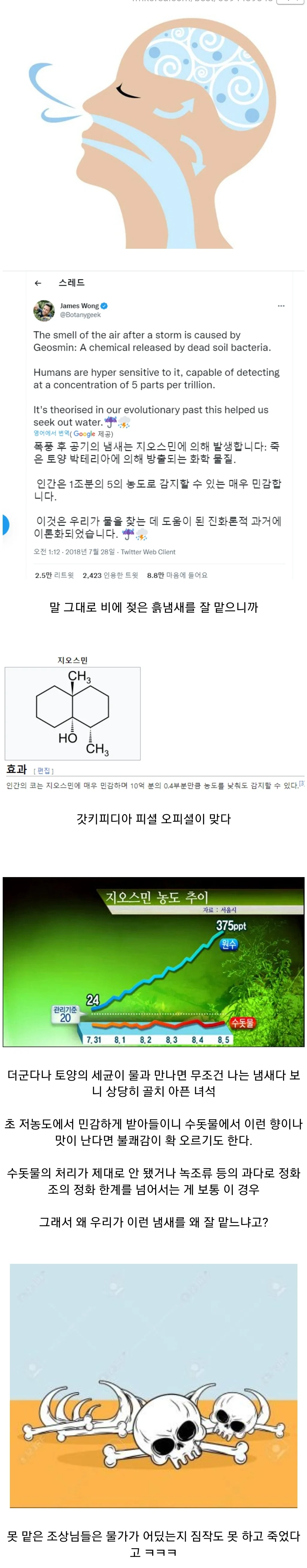 인류가 살아남은 이유중 하나