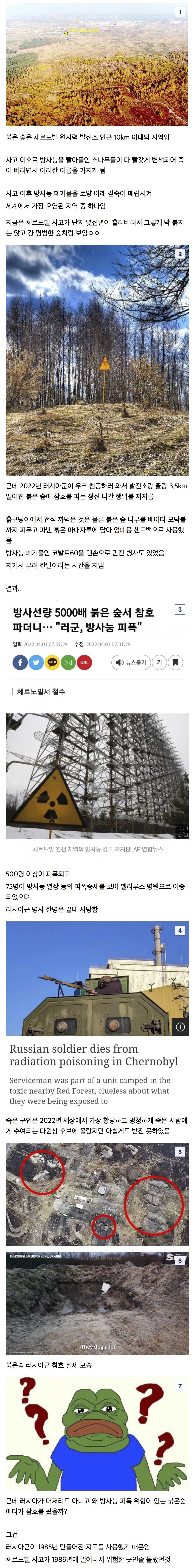 인류역사에 손꼽을 황당하고 멍청한 작전 레전드 ㄷㄷ
