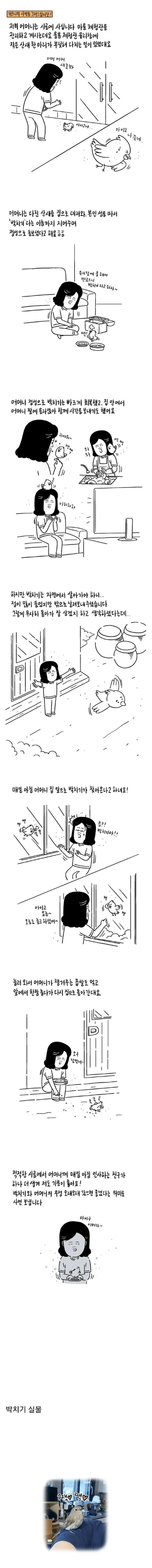 어머니 집에 찾아온 박치기.manhwa