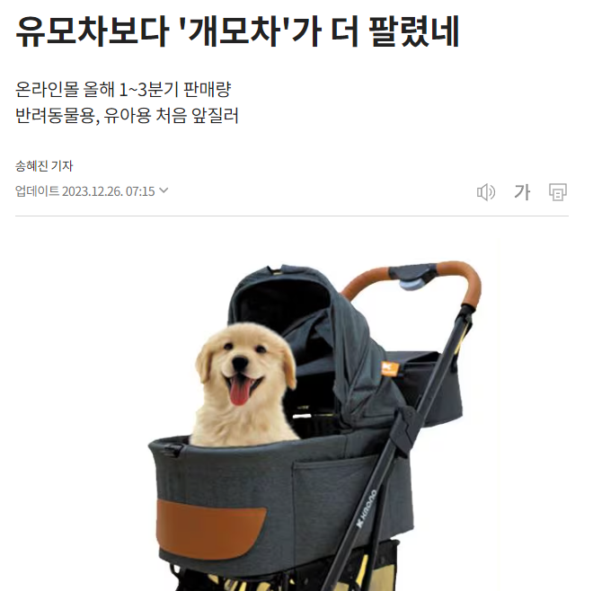 박살난 출산율 확 와닿는 기사