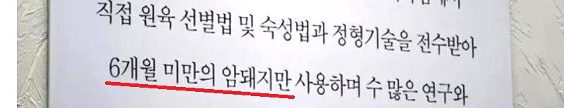 돼지고기집 말장난 갑.jpg
