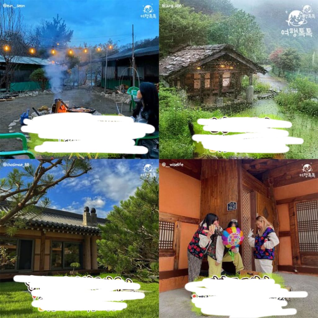 요즘 mz들 사이에서 유행이라는 국내여행
