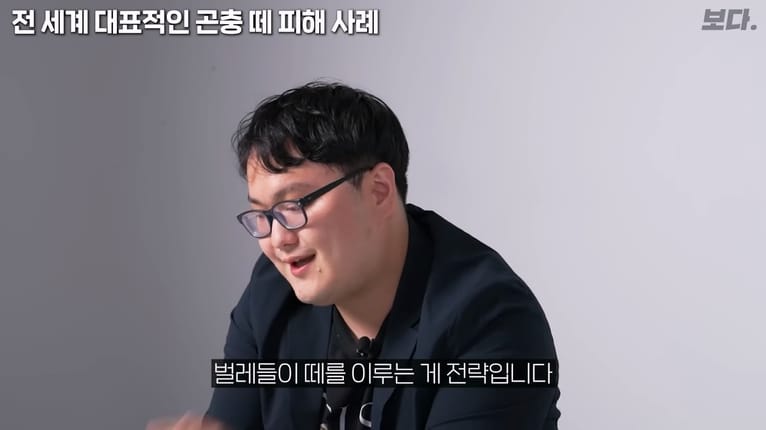 메뚜기떼들이 생기는 원리.jpg