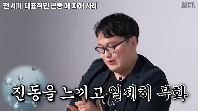 메뚜기떼들이 생기는 원리.jpg