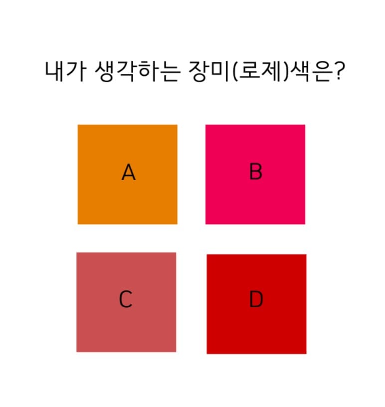 내가 생각하는 장미색은?