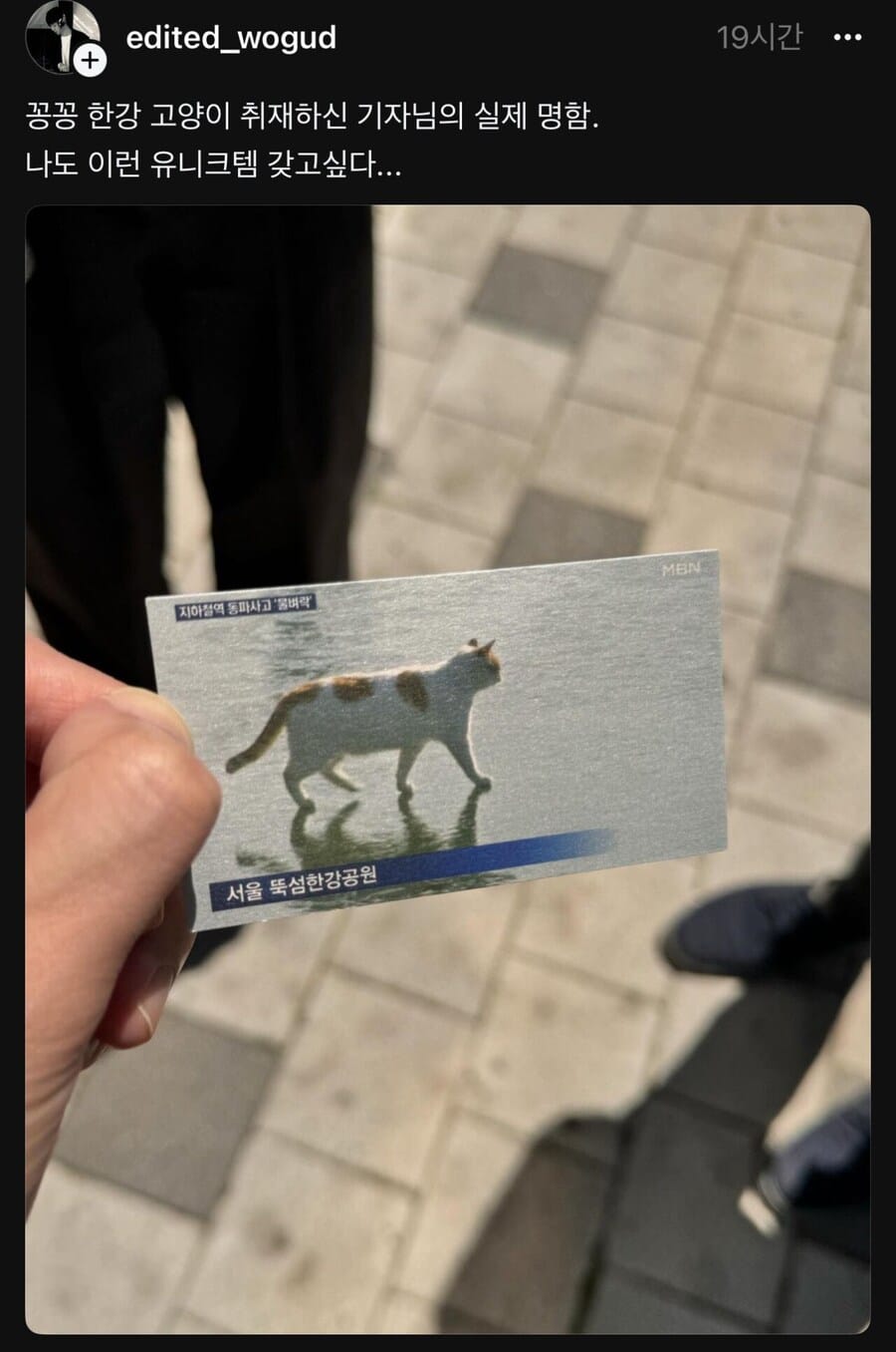 꽁꽁 얼어붙은 한강위로 고양이... 기자 근황.jpg