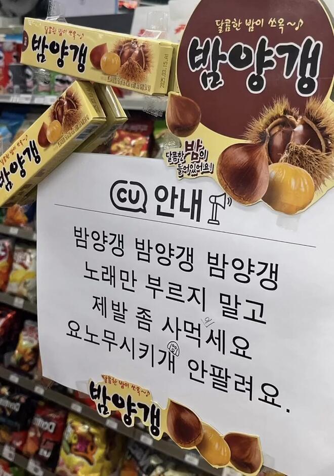 밤양갱 근황.jpg