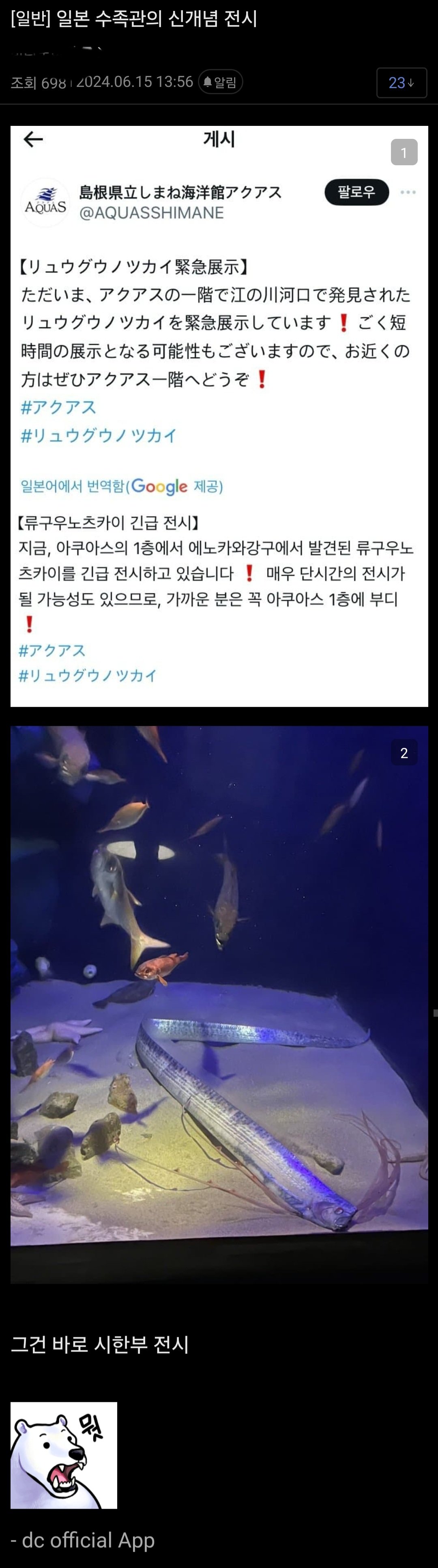 일본 아쿠아리움의 신개념 심해어 전시