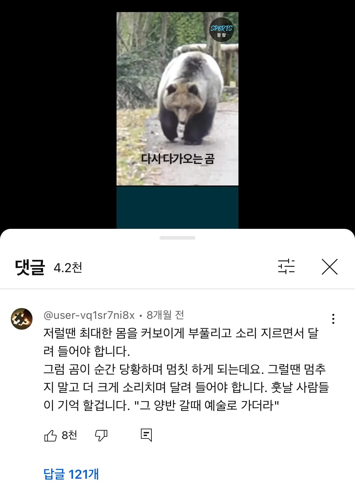 곰을 만났을때 도망치지 말고 달려들어라