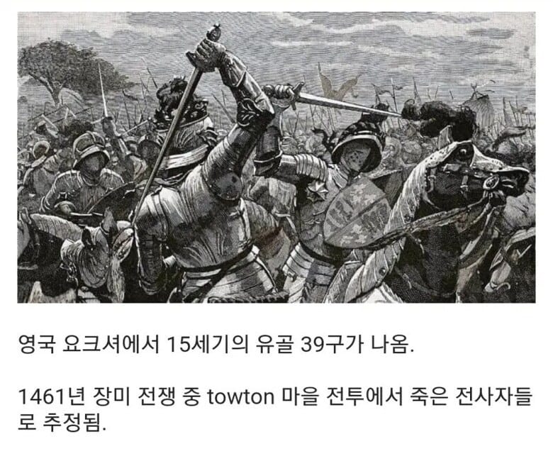 15세기 병사들의 유골들.jpg