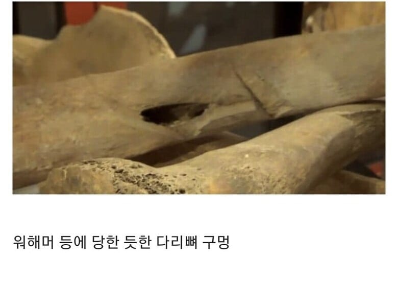 15세기 병사들의 유골들.jpg