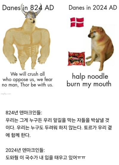1200년 전 덴마크인과 현재 덴마크인의 차이점.jpg