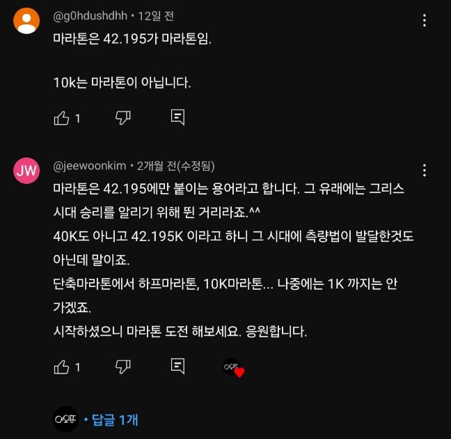 초보러너가 10km 마라톤 뛰었다고 했다가 지적받은 이유.jpg