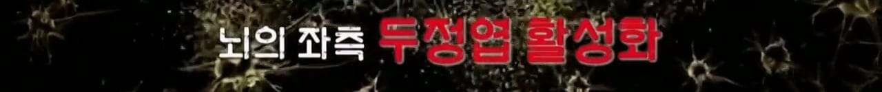 레전드 수학 1타강사