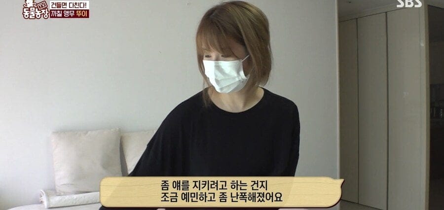 처녀수태로 태어난 예수앵무