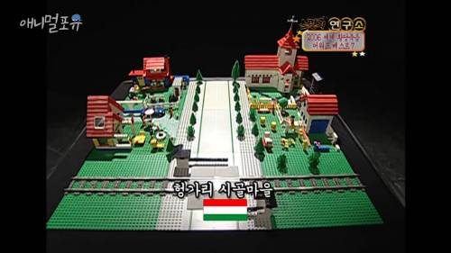 헝가리 역사상 가장 복잡한 보험사고