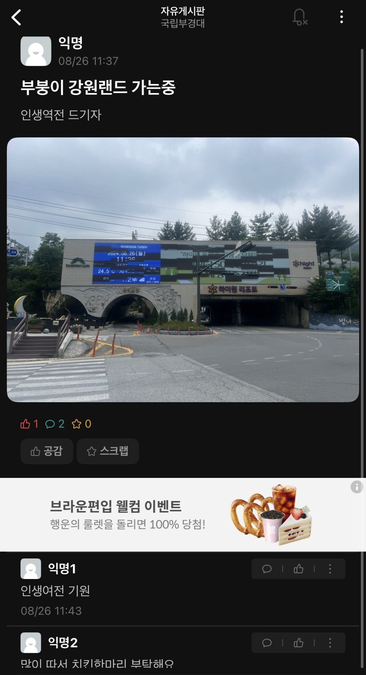강원랜드간 대학생 결말