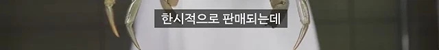 세상에서 제일 부드러운 게 소프트쉘 크랩.jpg