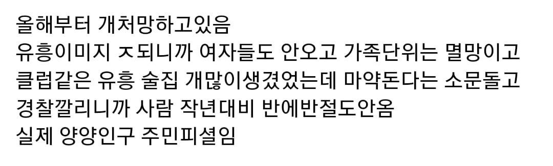 올해부터 개처망하고있다는 양양 관광ㄷㄷ