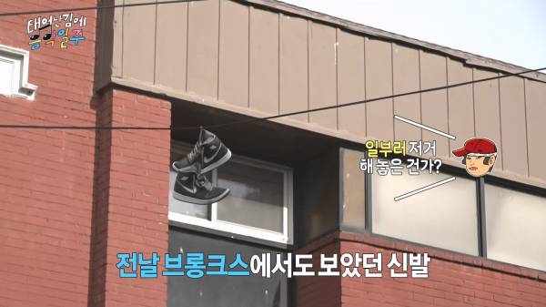 뉴욕 전깃줄에 걸린 신발의 의미 ㄷㄷㄷ