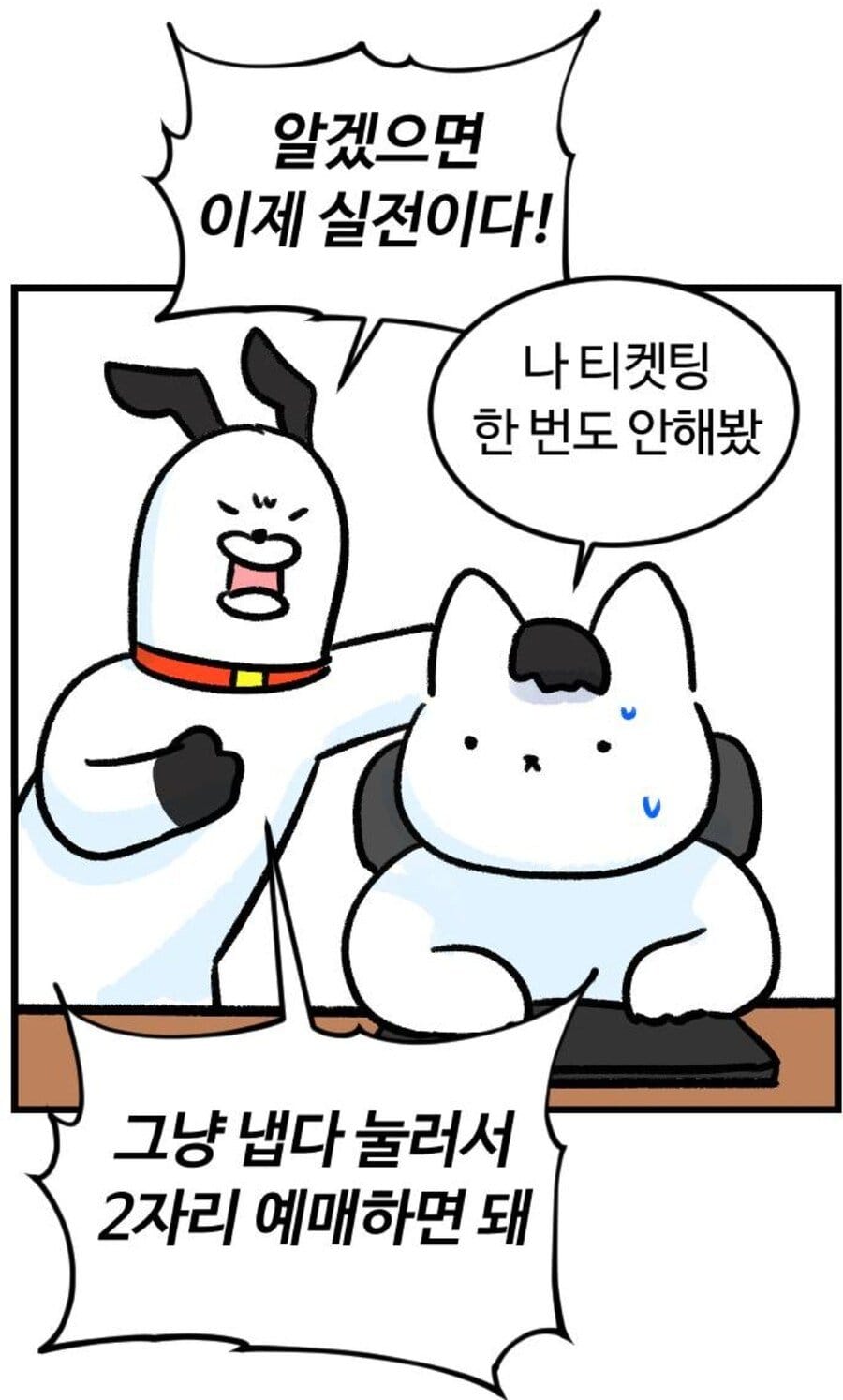 티켓팅 처음 해보는 사람