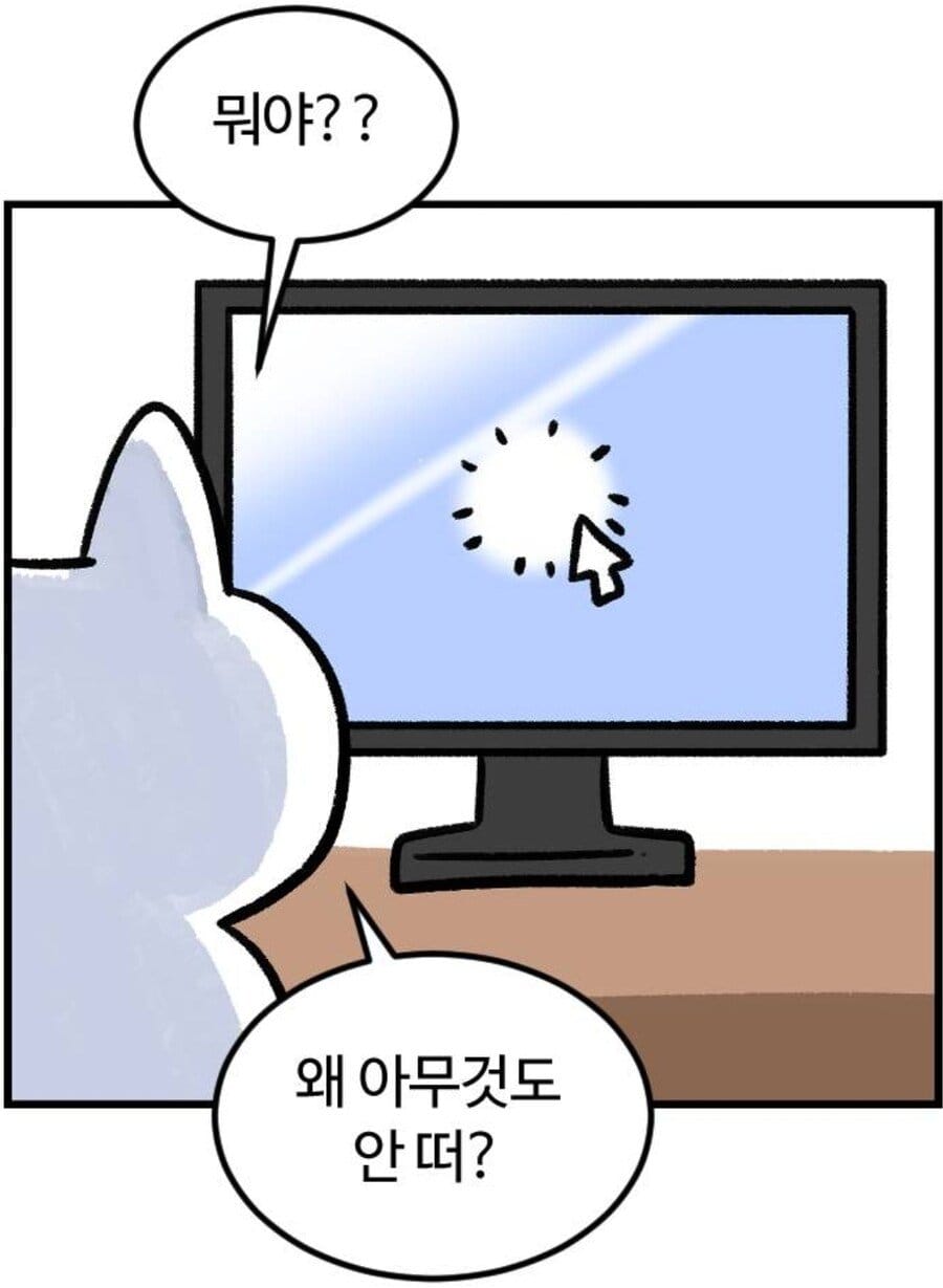 티켓팅 처음 해보는 사람