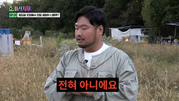 요거트 아이스크림 벌집꿀에서 나오는 벌의 정체..........jpg