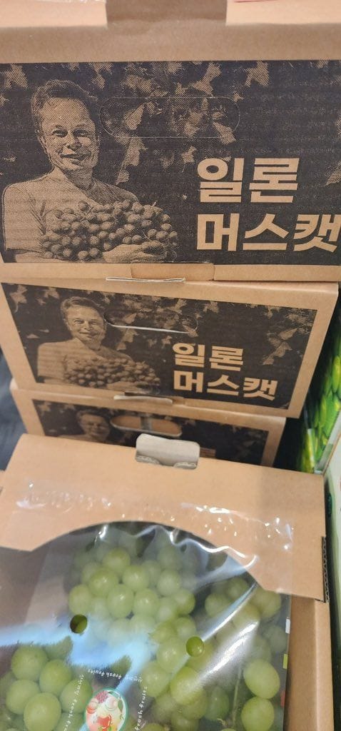 화성에서 팔 것 같은 과일.jpg