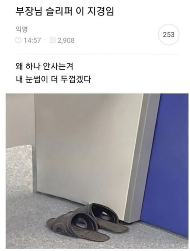 부장님 슬리퍼 이 지경임