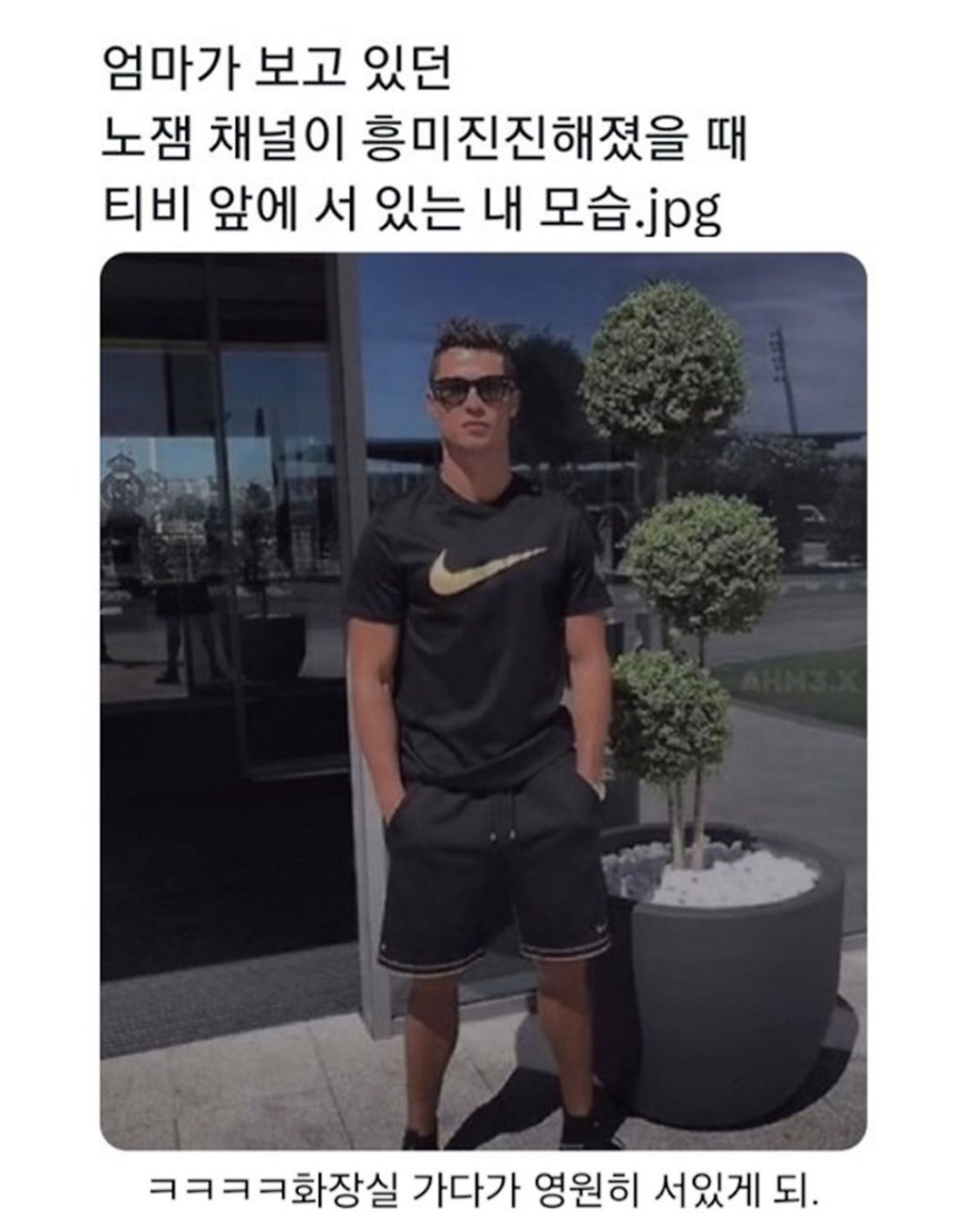 엄마가 보는 노잼 채널이 흥미진진해졌을때