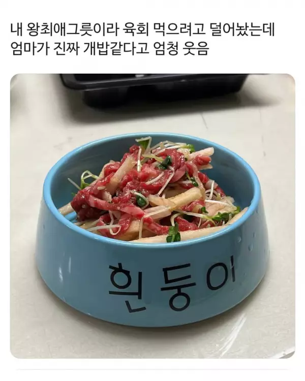 엄마가 이 그릇 좀 그만 쓰라고 화냄