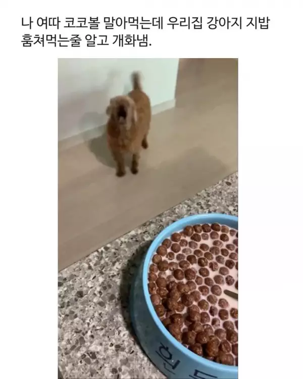 엄마가 이 그릇 좀 그만 쓰라고 화냄
