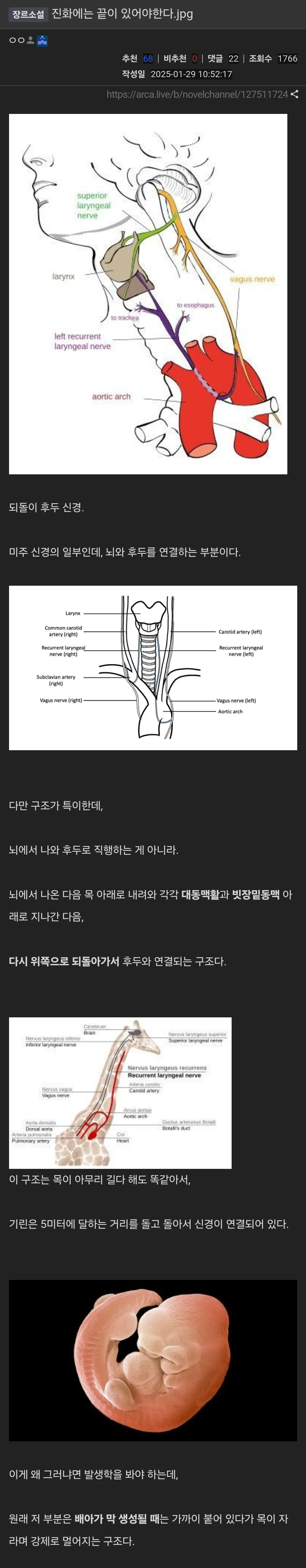 진화에는 끝이 있어야한다.jpg