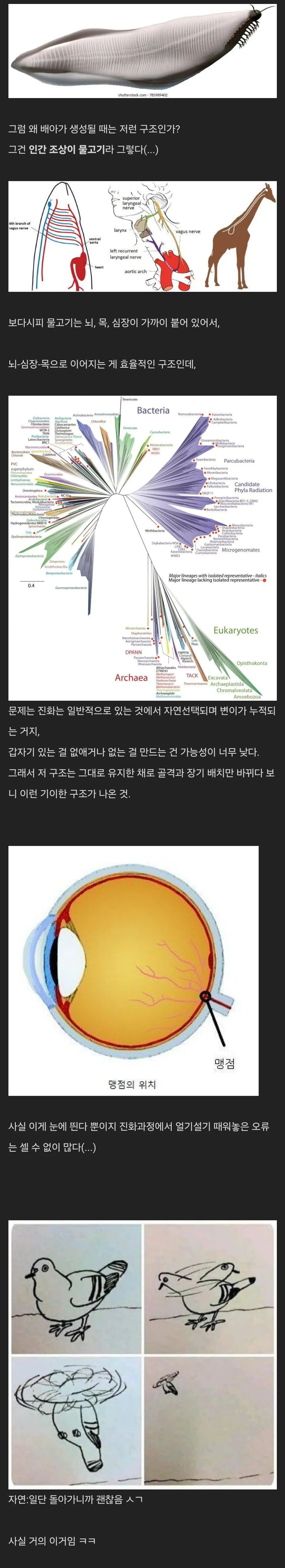 진화에는 끝이 있어야한다.jpg