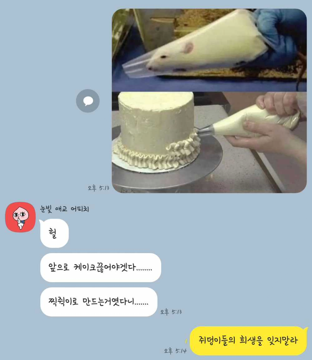 우리가 먹는 케이크의 진실..