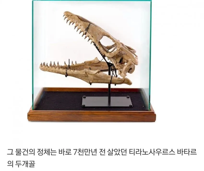 경매에서 𝟰억 날린 할리웃스타