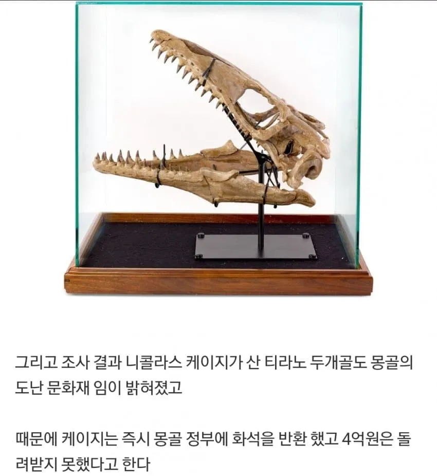 경매에서 𝟰억 날린 할리웃스타