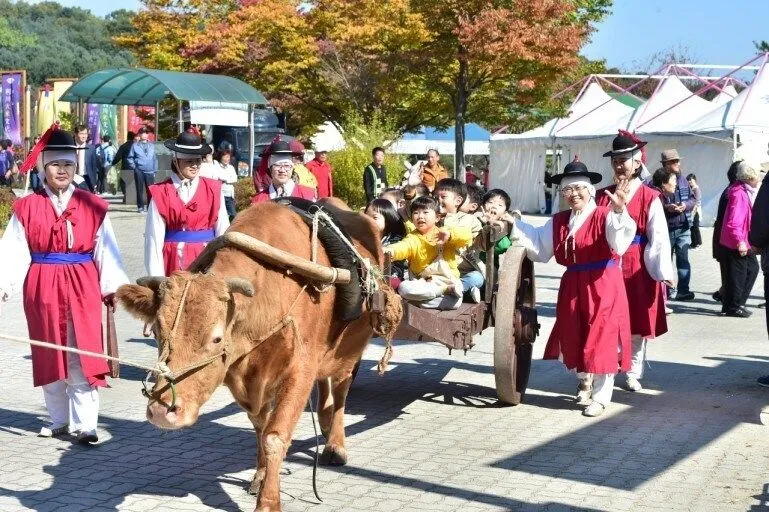 의외로 술마시고 운전해도 합법인 차