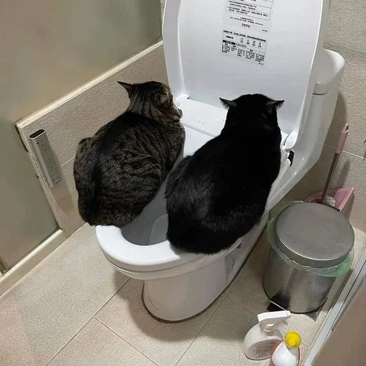 뜨끈한 비데